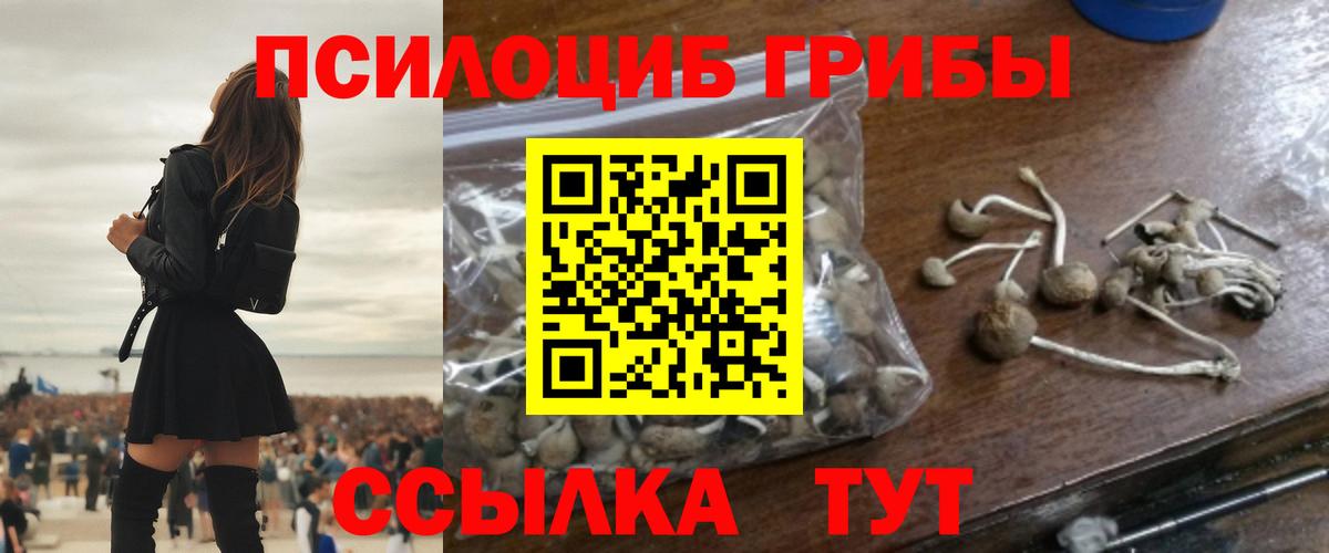 Кумертау  Псилоцибиновые грибы мухоморы  Вход с VPN  Псилоцибиновые грибы ЛСД 